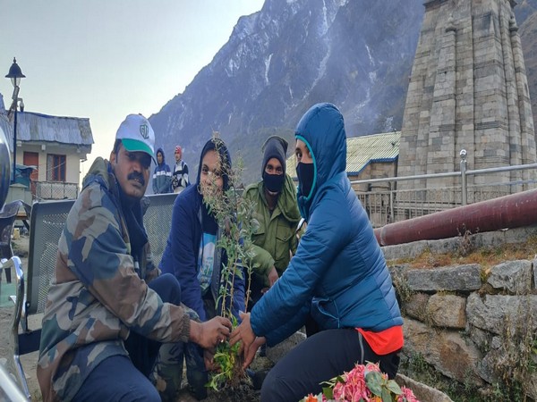Himalayan Balsam sapling planted at Kedarnath temple under Green India Chalenge (Photo/ANI)