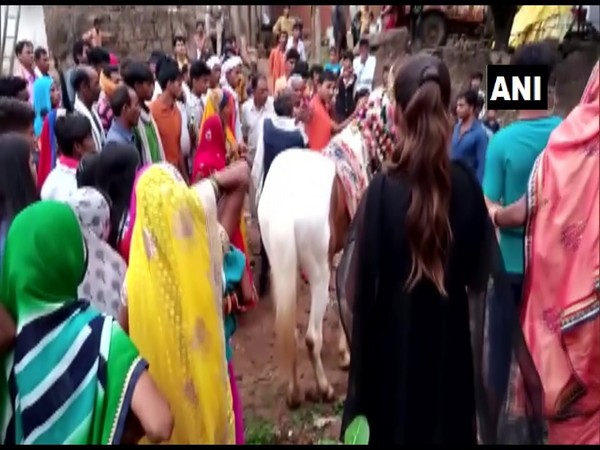 A visual of the Dalit groom stopped from riding a horse in Chhatarpur, Madhya Pradesh here on Wednesday. (Photo/ANI)