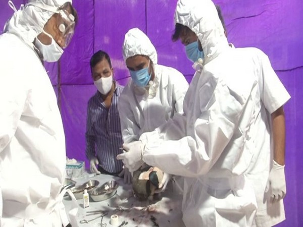 Medical experts treating injured bird (Photo/ANI)
