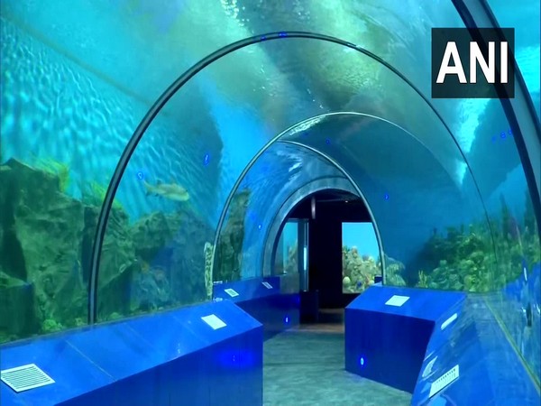 Visual of Aquatic gallary in Ahmedabad's Science city. (Photo/ANI)