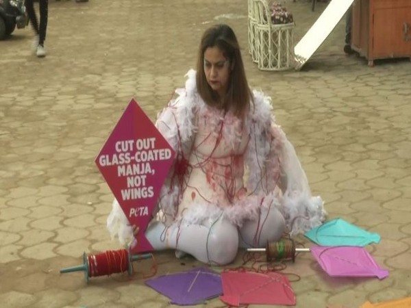 Gunjan Sikka, a social activist from PETA world, dressed up as an injured bird to protest against glass coated manjhas in Ludhiana, Punjab on Friday.