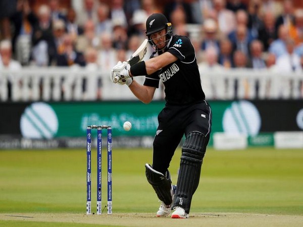 New Zealand opening batter Martin Guptill (file image)
