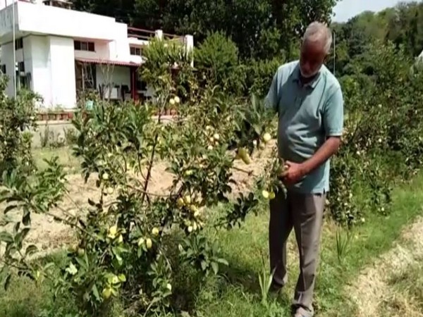 Gurinder Singh working in his farm