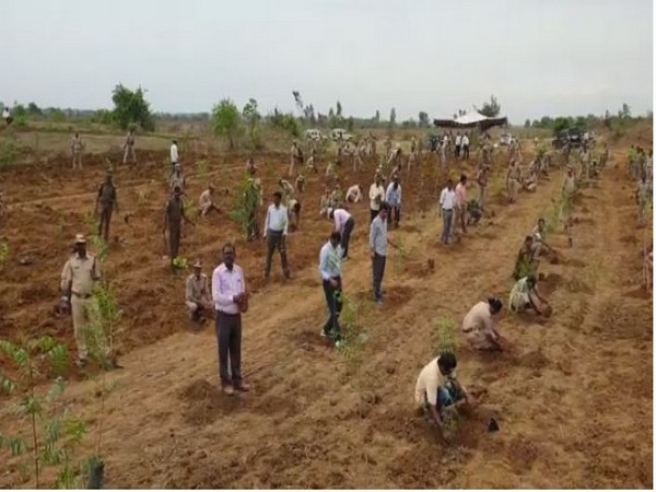 Forest officials plant saplings in Kumaram Bheem Asifabad, Telangana [Photo/ANI]