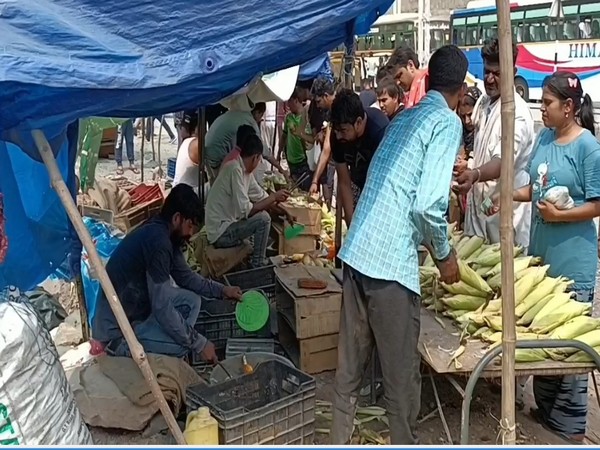 Amarnath Yatra bonds Muslim traders with Hindu pilgrims (Photo/ANI)