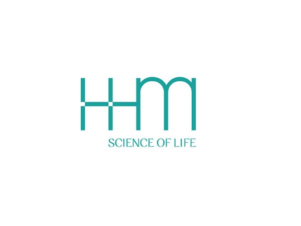 Holistic Human Metaphysics