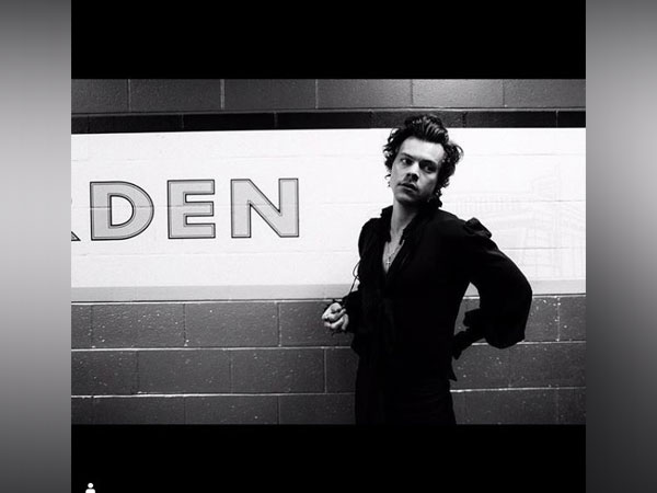 Harry Styles, image courtesy, Instagram