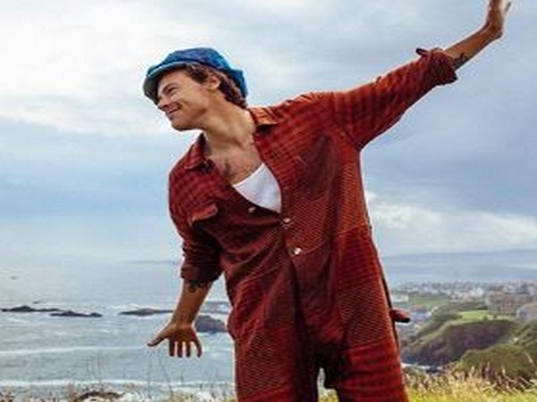 Singer Harry Styles (Image Source: Instagram)