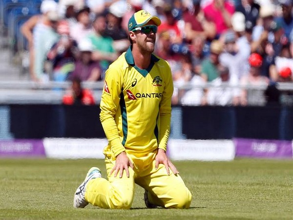 Australian cricketer Travis Head 