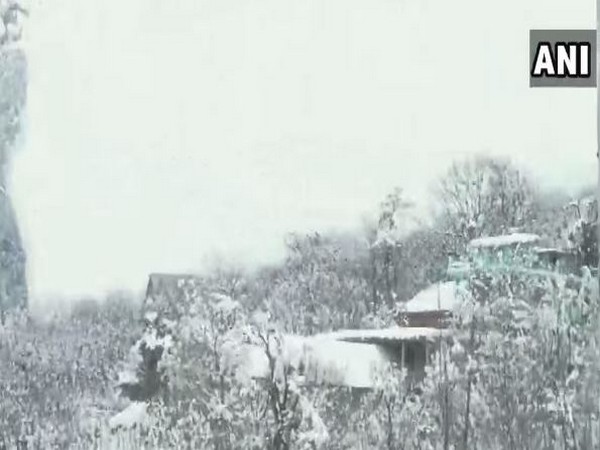 A video grab of avalanche in Kinnaur on Saturday Photo/ANI