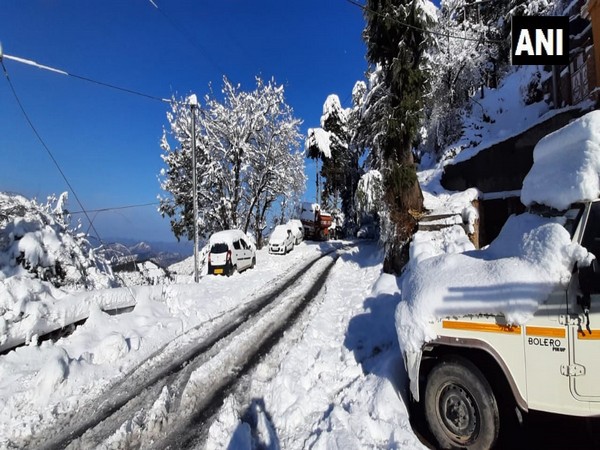 Visuals from Baldeyan area of Shimla. (Photo/ANI)