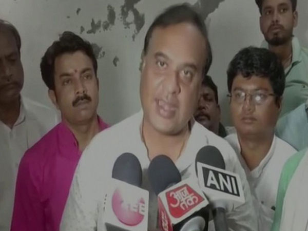 Assam Health Minister Himanta Biswa Sarma. (File Photo)