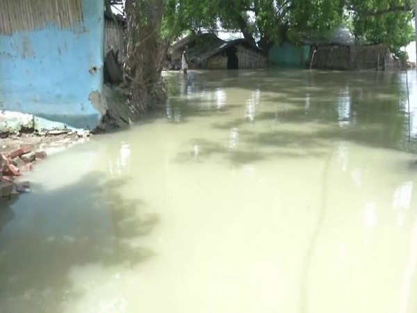 Almost every house is submerged and people are forced to use boats for daily transportation in Naya Tola, Darbhanga. Photo/ANI