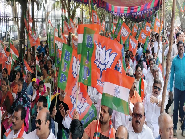 In December also Telangana BJP has organised public meetings in support of CAA. (File Image)