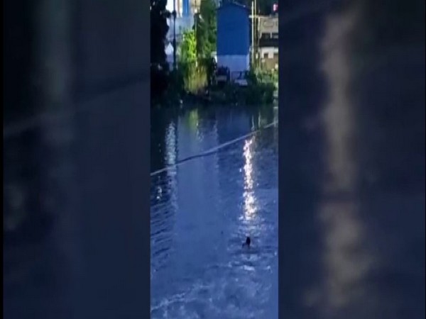 Man washed away in Saroornagar, Hyderbad on Sunday following the heavy rainfall.