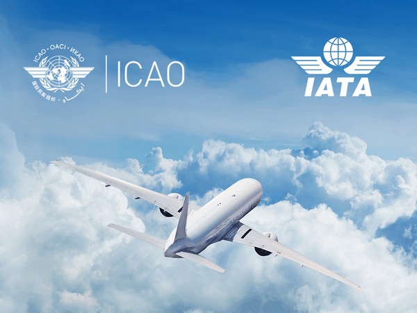 IATA represents some 290 airlines comprising 82 pc of global air traffic