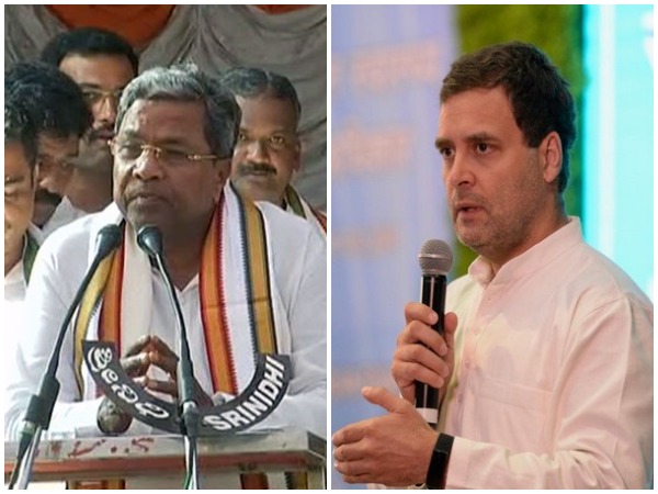 Congress leader Siddaramaiah calls on Rahul Gandhi to contest from Karnataka (File pictures)