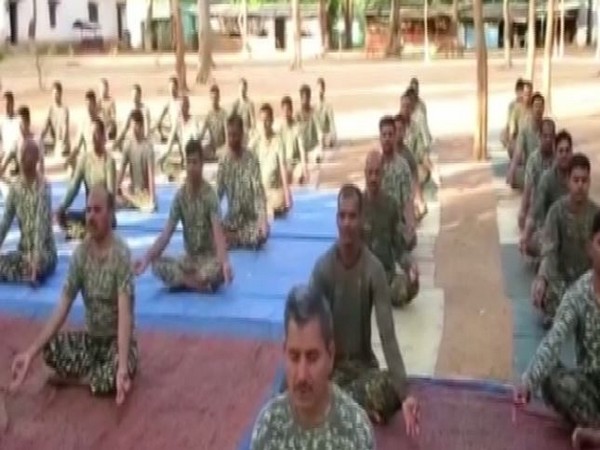 Indo-Tibetan Border Police (ITBP) perform yoga. Photo/ANI