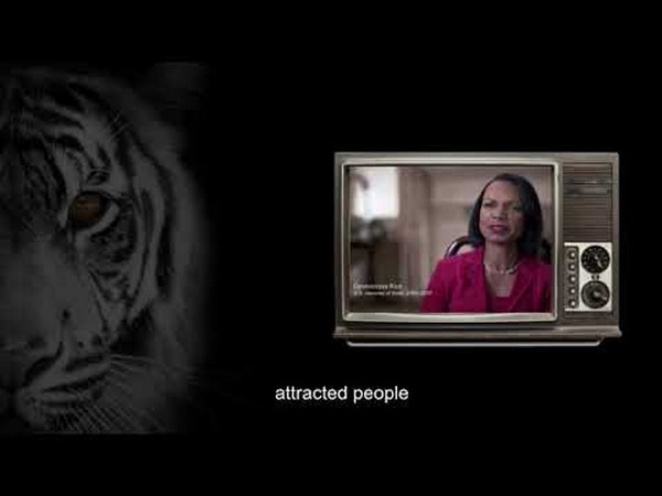 The Self Made Indian Dream