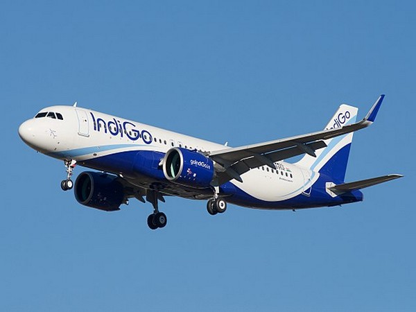 IndiGo has a fleet of 217 aircraft