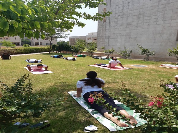 Indians practising yoga in Pakistan on International Yoga Day on Sunday. (Photo credit: official twitter)
