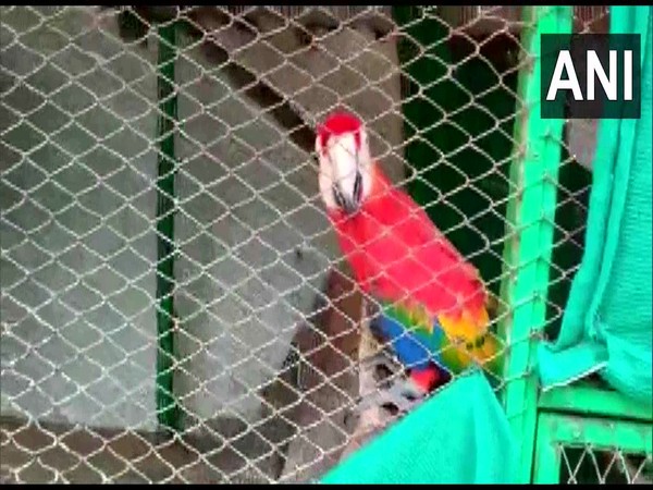 Visual of exotic animals at Chikoti Praveen's farmhouse (File Photo/ANI) 