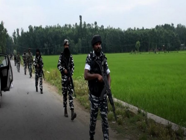 Indian security forces in Wandakpora area of Awantipora (Photo/ANI)