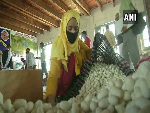 A cocoon farmer in Srinagar today. (Photo/ANI)