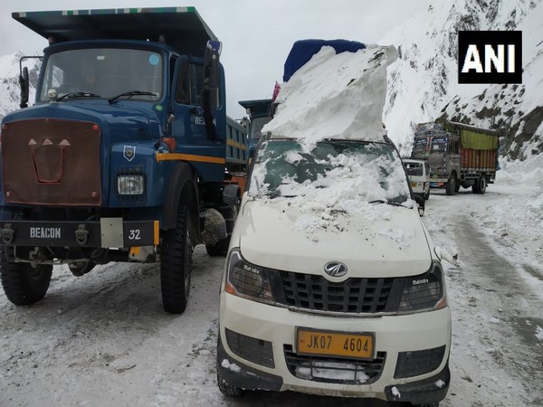 BRO cleared Srinagar-Sonmarg road, vehicles were stranded here due to snow and avalance. (Photo/ANI)