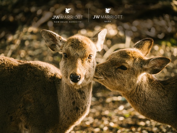 JW Marriott New Delhi brings iconic elements from JW Marriott Nara, Japan to the capital city