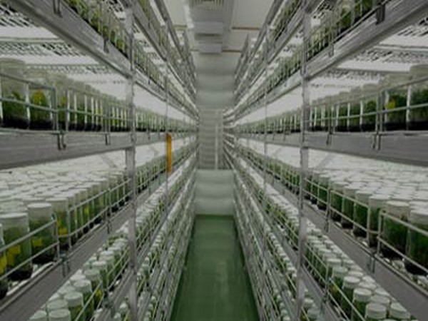 JISL operates in diverse segments of the agribusiness value chain