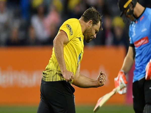 Spinner Jake Lintott (Photo/Warwickshire CCC Twitter)