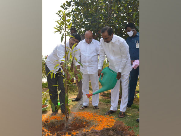 Telangana Chief Minister K Chandrasekar Rao plants a sapling (Photo/ANI)
