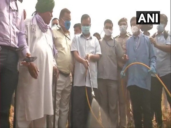 Delhi Chief Minister Arvind Kejriwal sprinkling the bio-decomposer solution in a field on Tuesday. (Photo/ANI)