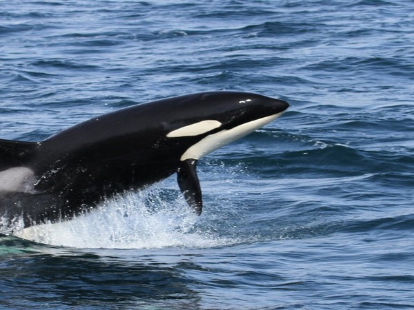 Representative image.