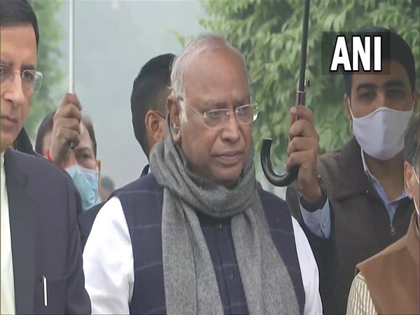 Leader of the Opposition in Rajya Sabha Mallikarjun Kharge (Photo/ANI) 