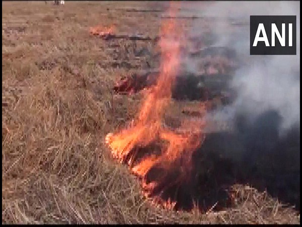 Farmers burnt stubble in Kaithal district. (Photo/ ANI)