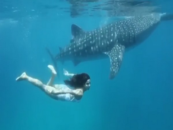 Actor Katrina Kaif swimming alongside a whale shark (Image Source: Instagram)