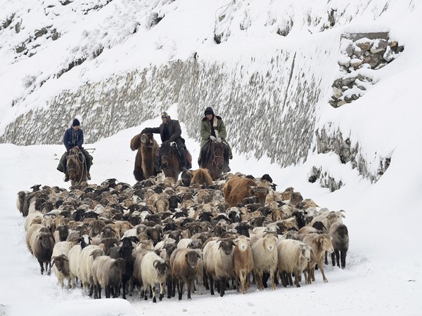 Kazakh herders' of Xinjiang (Photo Credit - Reuters)