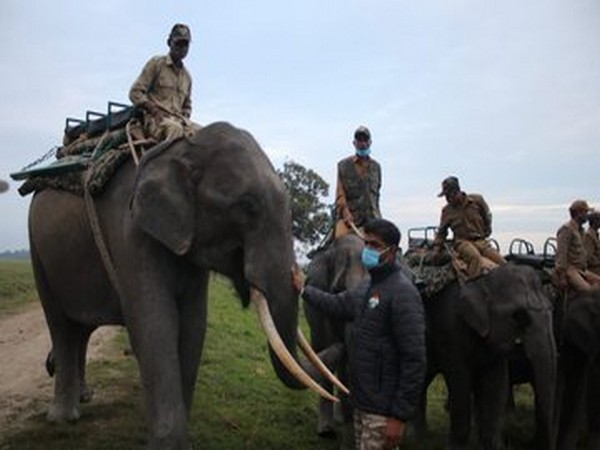 Elephant safari resumes at Kaziranga National Park (Photo/ANI)