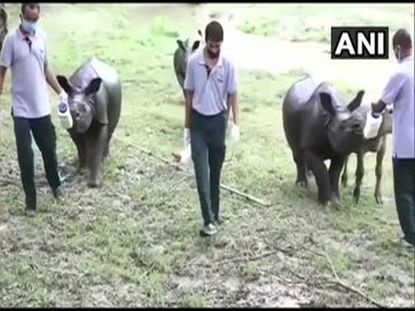 Animals rescued from the Kaziranga National Park. [Photo/ANI]