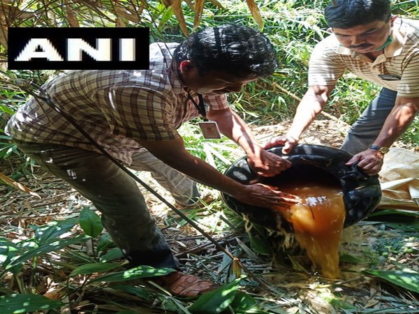 Illicit liquor being destroyed in Wayanad.