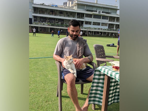 Virat Kohli with a cat (Image: Virat Kohli's Twitter)