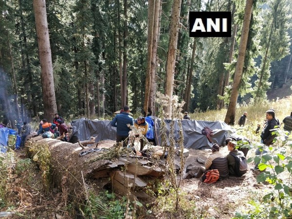 Police busts drug racket in Himachal Pradesh's Kullu district on Saturday. 