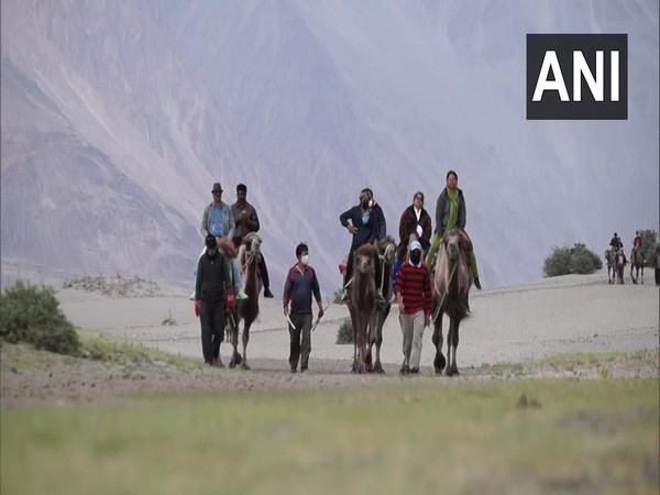 Tourists enjoying camel rides in Ladakh after the tourism reopens by the administration