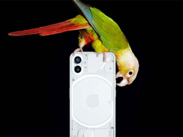 Nothing Phone (1) (Image source: Twitter)