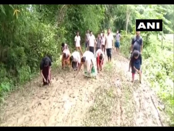 Locals sowing paddy on a road in bad condition in Assam's Dibrugarh (Photo/ANI)