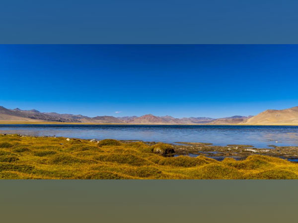 Tso Kar Wetland Complex in Ladakh (Photo: Twitter)