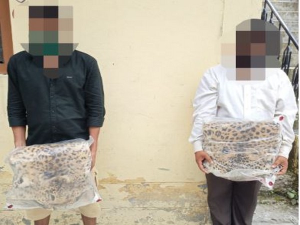 Two smugglers were arrested for possessing Leopard skin in Champawat district, Uttarakhand. (Photo/ANI)