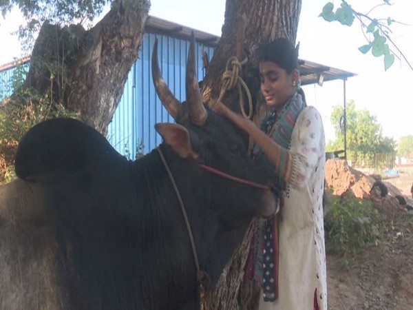 Darshini with the bull. Photo/ANI